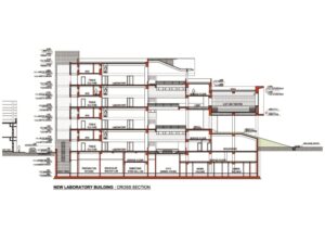 Elección del Contratista
